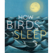 How Birds Sleep
