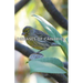 Diseases of Canaries