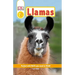 DK Readers Level 2: Llamas