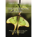 The Luna Moth Papers: Mirrors for One Another in Real Time: a 20-Year Exchange of Letters with My English Teacher