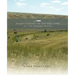 Homesteading on the Dry Fork of the Marias River