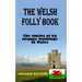 The Welsh Folly Book: The stories of 60 strange buildings in Wales
