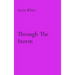 Through The Storm
