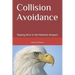 Collision Avoidance: Staying Alive in the National Airspace