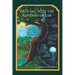 Dancing with the Rhythms of Life: A Holistic Doctor's Guide for Women