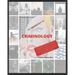 A Beginner's Guide - An Introduction to Criminology: A plain English guide to Criminology