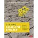 Leading Collective Efficacy: Powerful Stories of Achievement and Equity