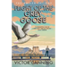 Flight of the Grey Goose