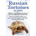 Russian Tortoises as Pets. Russian Tortoise facts and information. Russian tortoises daily care, pro's and cons, cages, diet, costs.: Facts and Inform