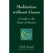 Meditation Without Gurus: Meditation Without Gurus