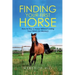 Finding Your First Horse: How to Buy a Horse without Losing Your Mind (or Money)
