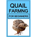 Quail Farming For Beginners