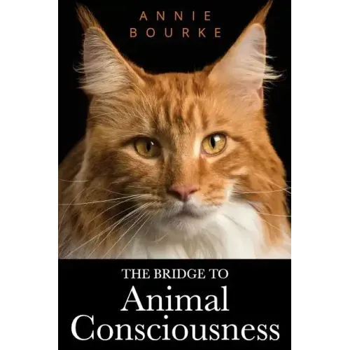 The Bridge To Animal Consciousness
