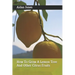 How To Grow A Lemon Tree And Other Citrus Fruits