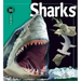 Sharks
