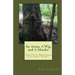 An Arson, A Wig, and A Murder: The Patsy Kessinger Calloway Story
