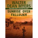 Sunrise Over Fallujah