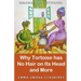 Mmama Tells Stories: Why Tortoise Has No Hair on its Head and More
