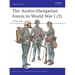 The Austro-Hungarian Forces in World War I (2): 1916-18
