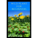 Wild Plant for Beginners: A book guide on how to ethically plant, identify, harvest, prepare, eat and preserve wild plants