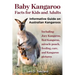 Baby Kangaroo Facts for Kids and Adults