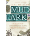 Mudlark: In Search of London's Past Along the River Thames