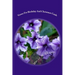 Verses For Birthday And Christmas Cards: 65 Rhyming Poems For Use In Card Making