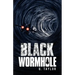 The Black Wormhole
