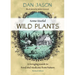 Some Useful Wild Plants: A Foraging Guide to Food and Medicine from Nature