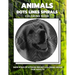 Animals - Dots Lines Spirals Coloring Book: New kind of stress relief coloring book for adults