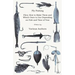 Fly Fishing - Flies; How to Make Them and Which Ones to Use Depending on Fish and Time of Year
