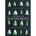A Passion for Snowdrops: A Personal Perspective