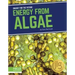 Energy from Algae