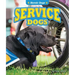 Service Dogs