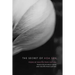 The Secret of Hoa Sen