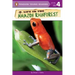 Life in the Amazon Rainforest