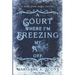 A Court Where I'm Freezing My A** Off: A Made from Magic Novella