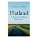Flatland: A Romance of Many Dimensions (Illustrated Edition)