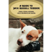 A Guide To Jack Russell Terrier: Caring, Feeding, Grooming, Health Treatments And Training: Jack Russell Terrier Personality