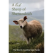 A Lost Sheep of Shenandoah: Charles Edwin Rinker of Virginia and Harry Bernard King of Iowa: Dna Reveals They Were the Same Man