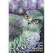 Ghost Dance: The Czar's Black Angel