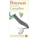 Peterson First Guide to Caterpillars of North America