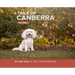 Tails of Canberra Volume 2
