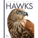 Hawks