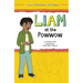 Liam at the Powwow