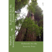 Redwoods are my favorite trees