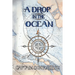 A Drop in the Ocean: Understanding the Bermuda Triangle Phenomena