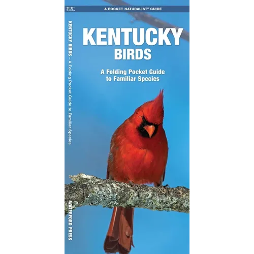 Kentucky Birds: A Folding Pocket Guide to Familiar Species
