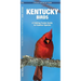 Kentucky Birds: A Folding Pocket Guide to Familiar Species
