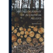 Metallography Of Aluminum Alloys